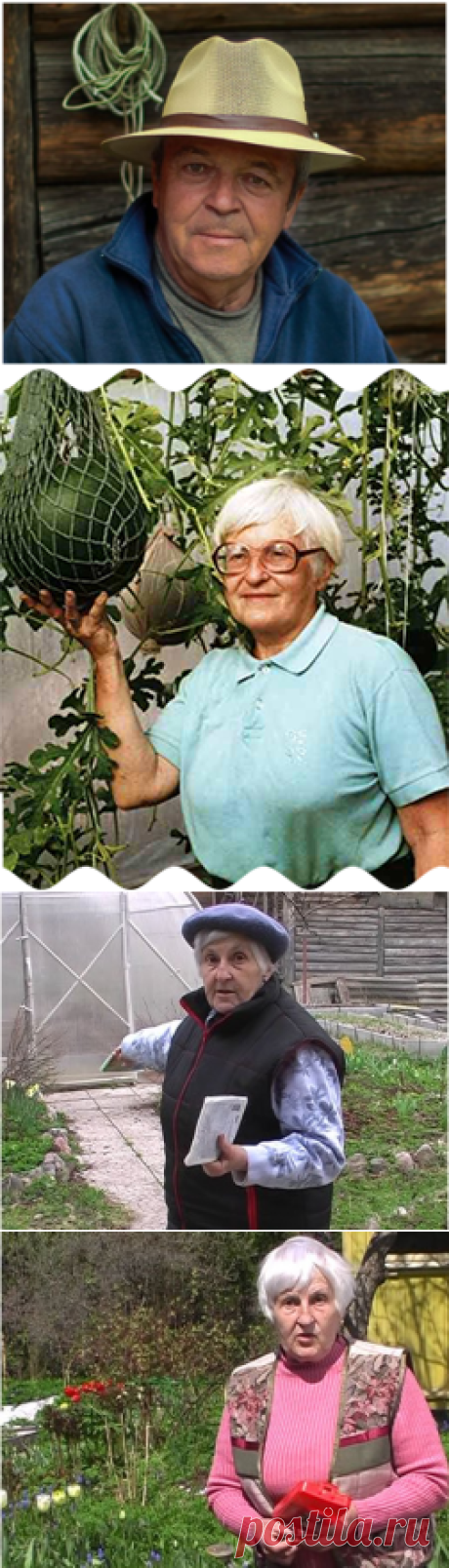 Огород без хлопот