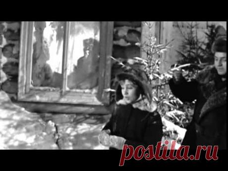 Николай Погодин и Люсьена Овчинникова - Старый клен - YouTube