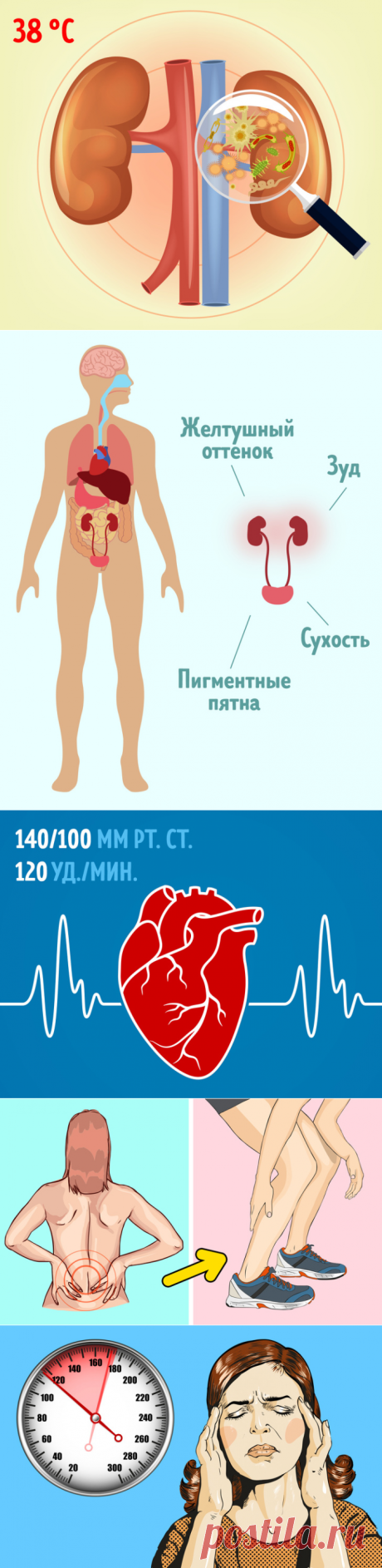 9 неочевидных симптомов, которые говорят о том, что с почками что-то не в порядке