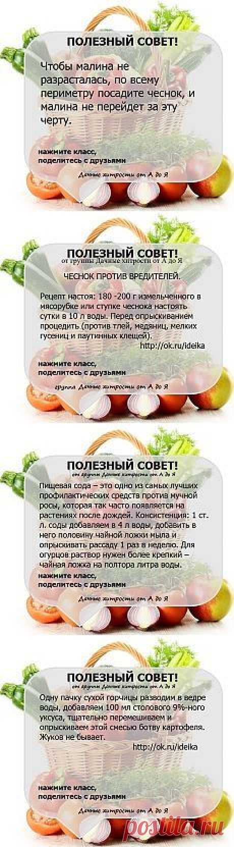 Лист «Trending in gardening this week» — Pinterest — Яндекс.Пошта
