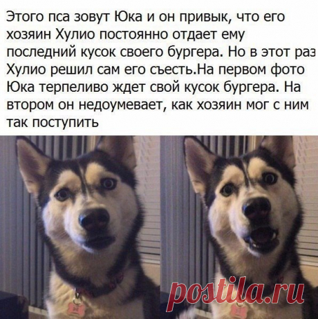 Как сделать сливочное пиво? 🍺Холодное сливочное пиво🍺 Ингредиенты: 1 пинта ванильного мороженного (мягкого) 1/2 пачки масла (мягкого) 1/3 чашки коричневого сахара (или обычного) 2 ч. ложки корицы 1 ч. ложка размельченного мускатного ореха (порошок) 1/4 ч. ложки порошка гвоздики 1 кварта яблочного сидра 1 ч. ложка экстракта ванили Приготовление: Холодное сливочное пиво Смешайте сливки, масло, сахар и специи. Взбейте мороженное вместе с полученное смесью. Поставьте в морозильник пока не…