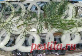 Засолка скумбрии сухая | vkusnyymir