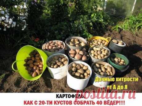 (47) Одноклассники