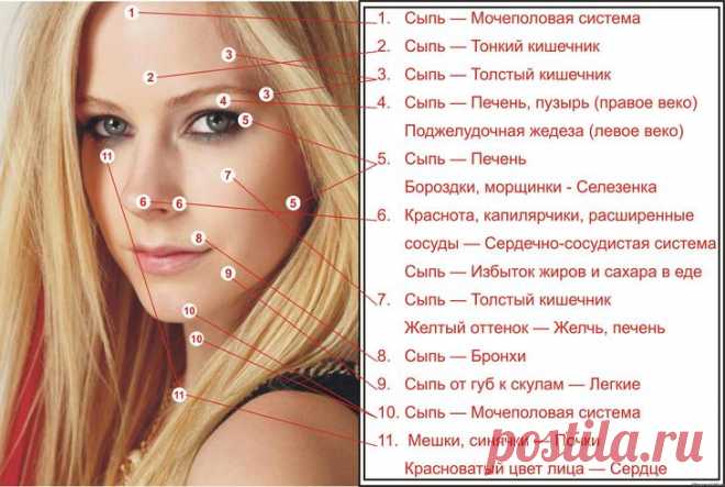 Карта прыщей на лице: что они означают? Расположение прыщей на лице и болезни