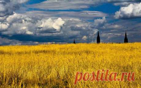 Травяные и дерновые крыши по всему миру    Это не поле пшеницы. Это трава на крыше Музея войны в Оттаве. Канада