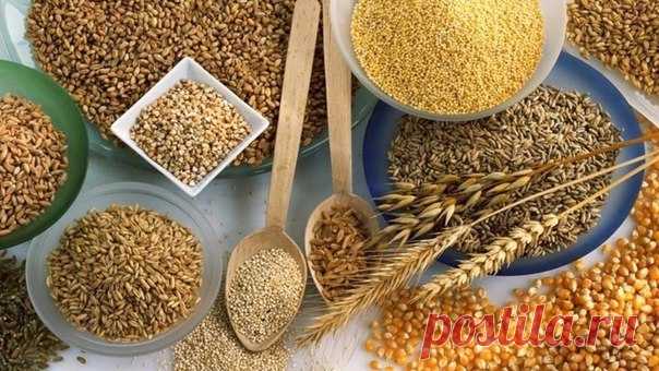 Рейтинг круп для похудения