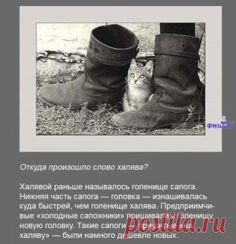 (18) Одноклассники