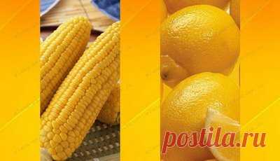 Цвет продуктов | Влияние цвета на человека