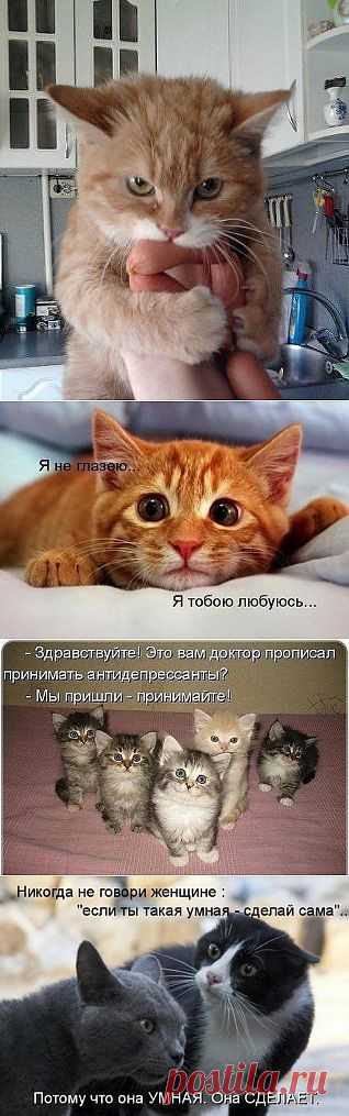 Одноклассники