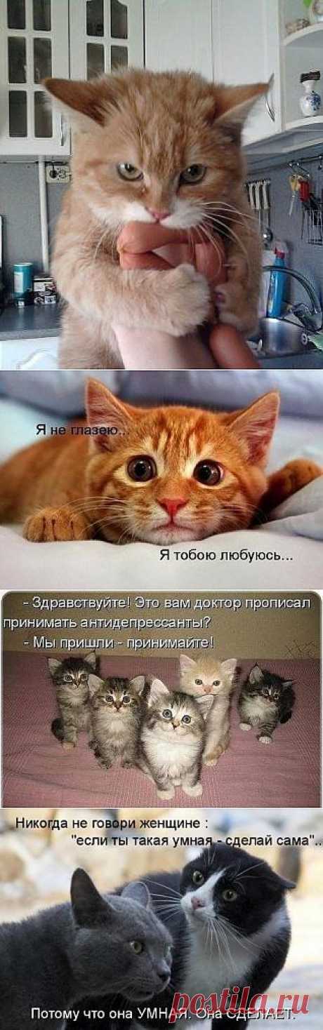 Одноклассники