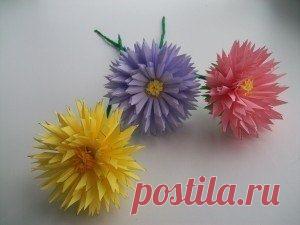 Астры из офисной бумаги.