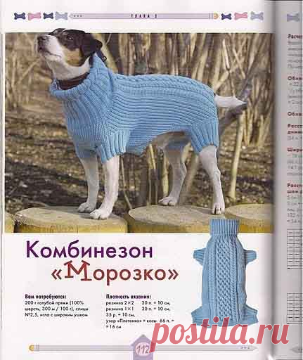 Вяжем для собак своими руками. Спицы