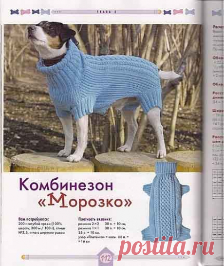 Вяжем для собак своими руками. Спицы