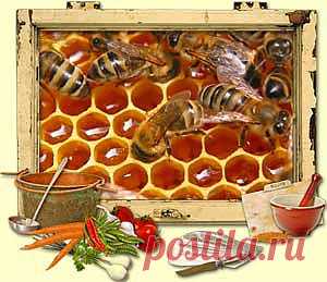 Полезные свойства меда.