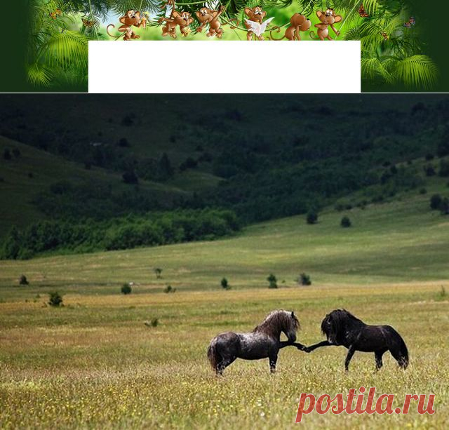 Одноклассники