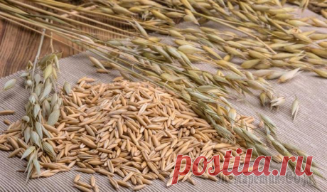 11 продуктов, способствующих очищению печени С возрастом в организме человека накапливаются вредные вещества. Мы получаем их с пищей и водой, при вдыхании загрязненного воздуха, приеме лекарственных препаратов, использовании бытовой химии и косм...