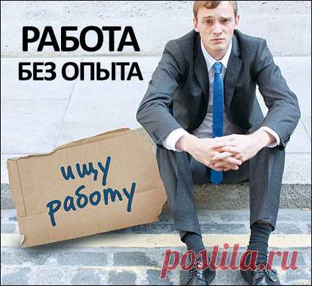 Топ-6 вакансий для работников без опыта работы | LivePosts — последние новости, полезные статьи, обзоры