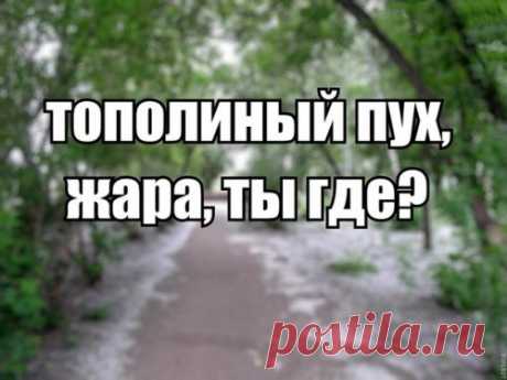 Свежие прикольные фотомемы (25 шт) | Чёрт побери Предлагаем вашему вниманию очередную подборку прикольных картинок со смешными подписями для поднятия настроения!