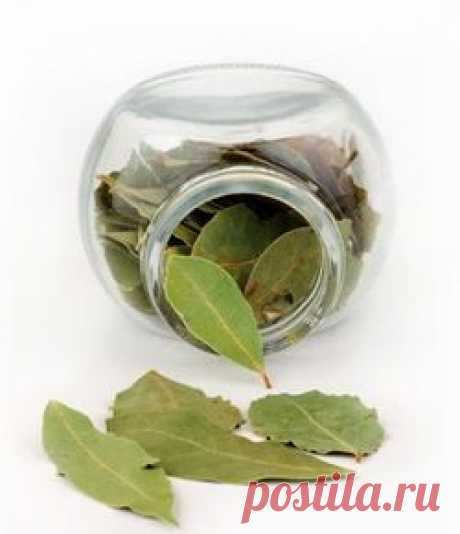 Лавровый лист в народной медицине