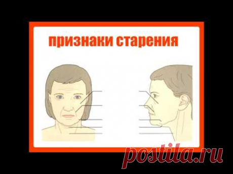 Скачать клип ЕЛЕНА ГЛАДКОВА ОМОЛОЖЕНИЕ ЛИЦА И ШЕИ ЗА 1 МЕСЯЦ | Скачать клипы бесплатно