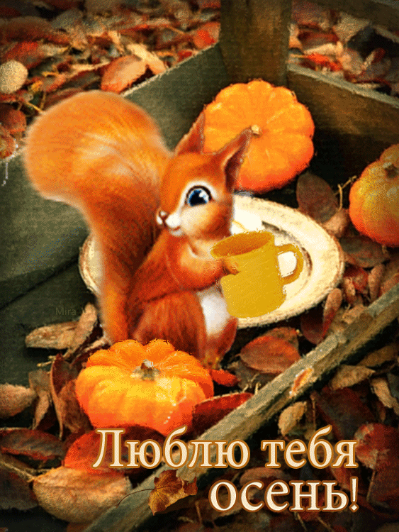 - Люблю тебя осень...