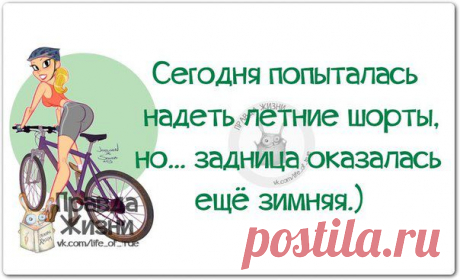 Новости
