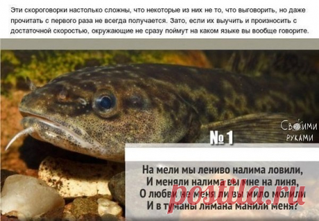 Интересные новости