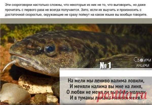 Интересные новости