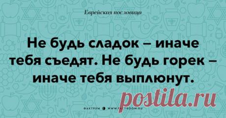 Остроумные еврейские пословицы, которые добавят Вам мудрости!