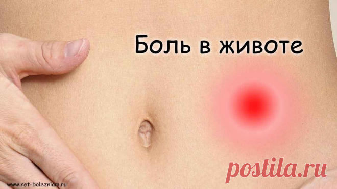 15 ПРИЧИН ПОЧЕМУ МОЖЕТ БОЛЕТЬ ЖИВОТ
Живот - часть тела где сосредоточены многие жизненно важные органы: печень, поджелудочная железа, кишечник, желудок, желчный пузырь, почки, яичники (у женщин). В некоторых случаях могут возникнуть боли в этой части тела, но из-за множества органов находящееся в этой области, труднее опознать источник боли (болезнь).
