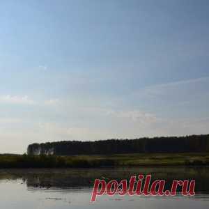 Когда блесна облавливает всё остальное - МирТесен