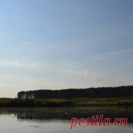 Когда блесна облавливает всё остальное - МирТесен