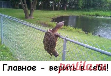 Верь в себя и все получится!