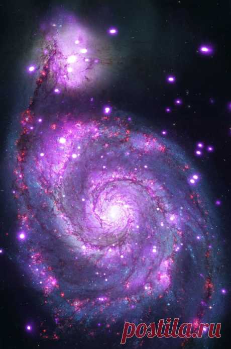 Chandra Captures Galaxy Sparkling in X-rays | NASA | Rosario Serrano Espinosa приколол(а) это к доске Cosmos