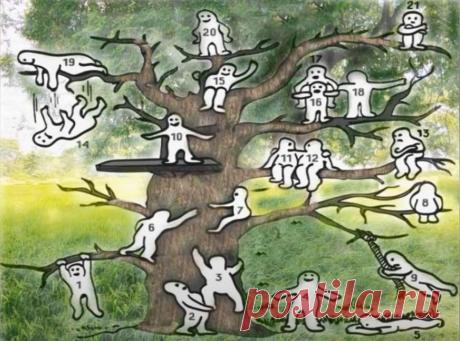 Тест: узнайте своё эмоциональное состояние с помощью изображения
Приветствую тебя, дорогой читатель нашего интеллектуального канала «Ваши любимые тесты» Поставьте лайк и листайте статью ниже. Сам тест будет ниже! Поставьте лайк и листайте статью ниже. Сам тест будет ниже! Наш канал многогранен и охватывает большое количество различных тематик и ответвлений. Хоть мы и делаем больший акцент в сторону когнитивных навыков человека, но мы никогда […]
Читай дальше на сайте. Жми подробнее ➡