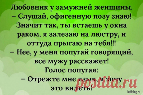 Великолепное настроение для всех: подборка классных анекдотов, шуточек и всяких завабностей и приятностей