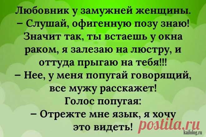 Великолепное настроение для всех: подборка классных анекдотов, шуточек и всяких завабностей и приятностей