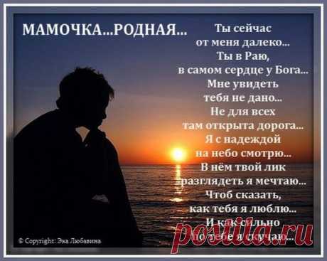 (81) Pinterest