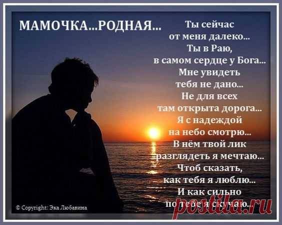 (81) Pinterest