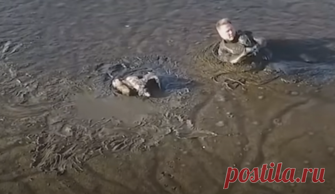 Человек не побоялся и пополз к застявшему в трясине орлу, чуть было не потонув и сам | Тайган | Дзен