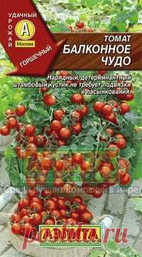 Семена. Томат раннеспелый 