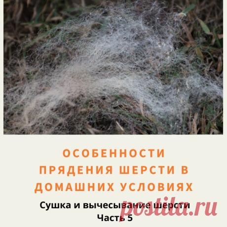 При сушке необходимо шерсть разложить ровным слоем, толщиной не более 1,5 см, иначе плохо высохнет или сваляется.
Сушить нужно в хорошо проветриваемом месте. Лучше на открытом воздухе.