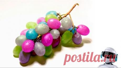 КАК РАСТУТ ЭКЗОТИЧЕСКИЕ ФРУКТЫ, ОВОЩИ И СПЕЦИИ