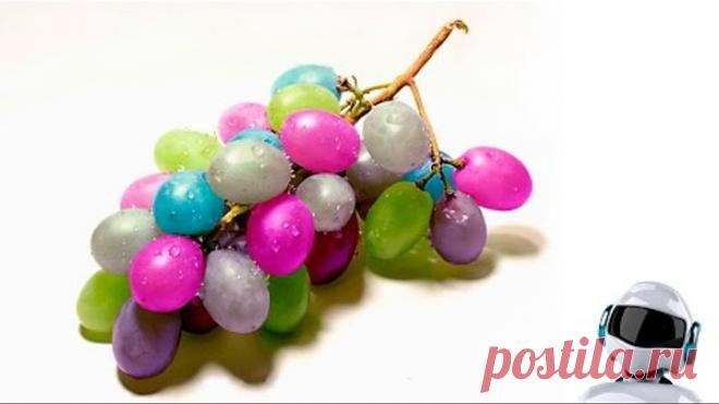 КАК РАСТУТ ЭКЗОТИЧЕСКИЕ ФРУКТЫ, ОВОЩИ И СПЕЦИИ