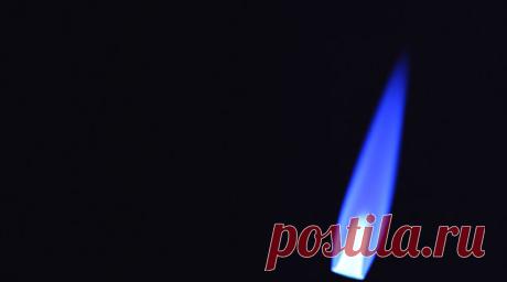 Лидер АдГ Вайдель призвала Германию возобновить закупки российского газа и нефти. Сопредседатель партии «Альтернатива для Германии» (АдГ) Алис Вайдель выступила за возобновление закупок российского природного газа и нефти. Читать далее