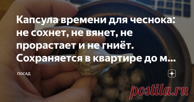Капсула времени для чеснока: не сохнет, не вянет, не прорастает и не гниёт. Сохраняется в квартире до мая как свежий. Мой способ Можно ли сохранить чеснок свежим, как из грядки, всю зиму? Да, можно. Минимум – до лета, максимум – до нового урожая. О своём способе сохранения чеснока я писала здесь более двух лет назад. С тех пор канал вырос, подписчиков прибавилось и, думаю, болезненная тема сохранения чеснока будет интересна многим. Самый популярный в народе способ сохранен...