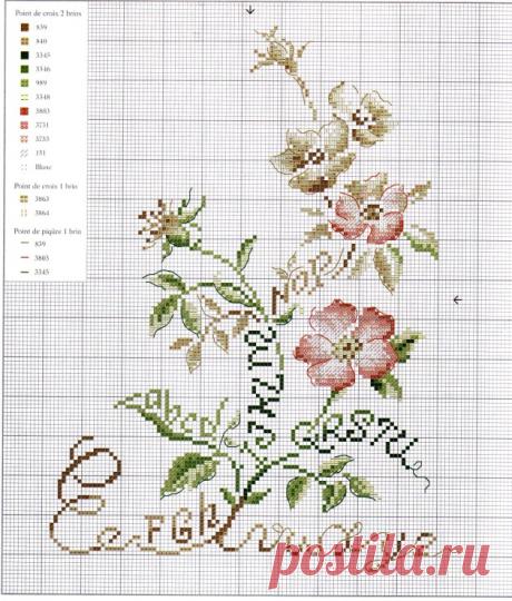 (8) Gallery.ru / Фото #19 - Схемы3 - north-west