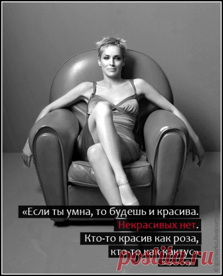 Афоризмы и цитаты 06 часть 1