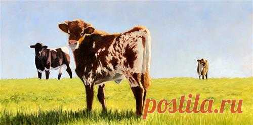 Галерея оригинального изобразительного искусства Дэвида Гибсона