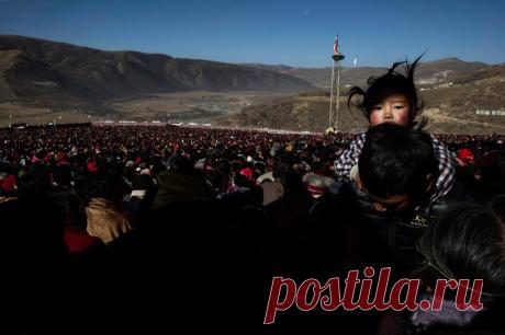 Bliss Dharma Assembly - The Boston Globe